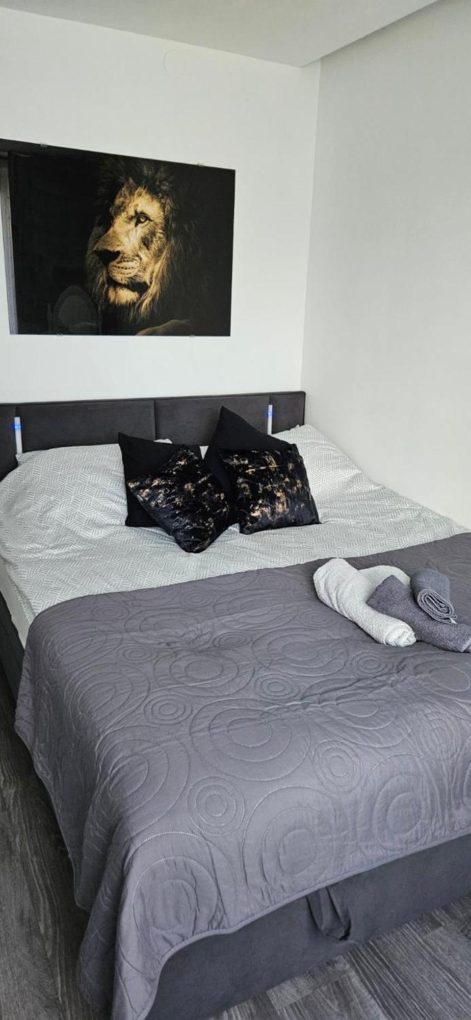 Family Apartament Zamosc  Ngoại thất bức ảnh